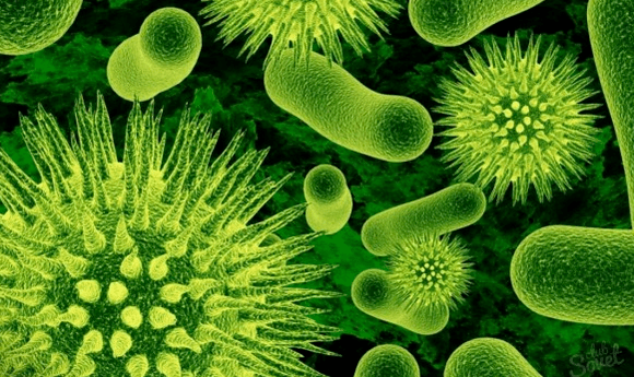 Viruses caused by parasites