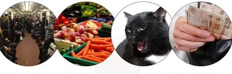 Methods of parasite infection