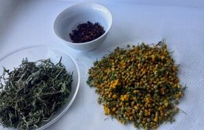 plants for removing parasites from the body